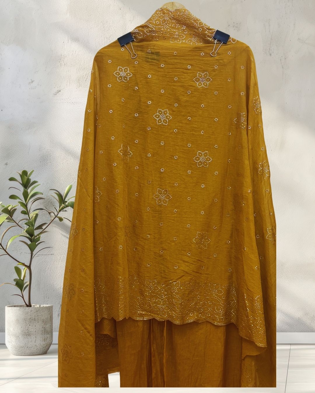 ira party 049 front3 ira party 049 front3