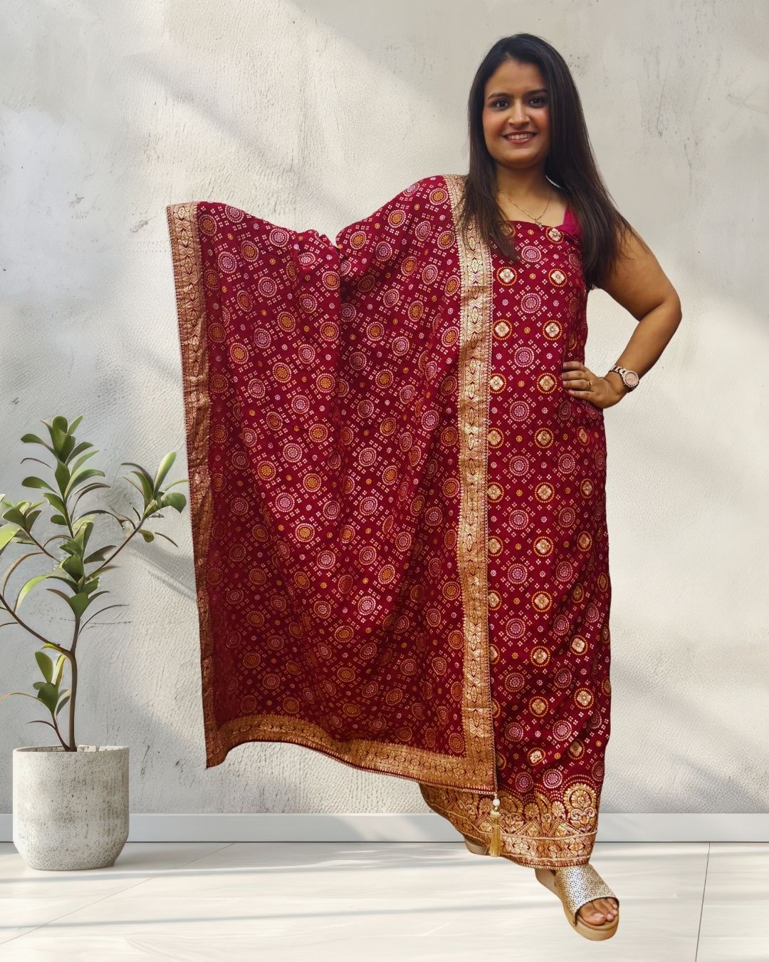 ira party 063 front2 ira party 063 front2